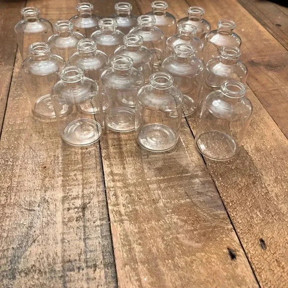 Set of 19 Small Propagation Jars - Picture 2 of 4